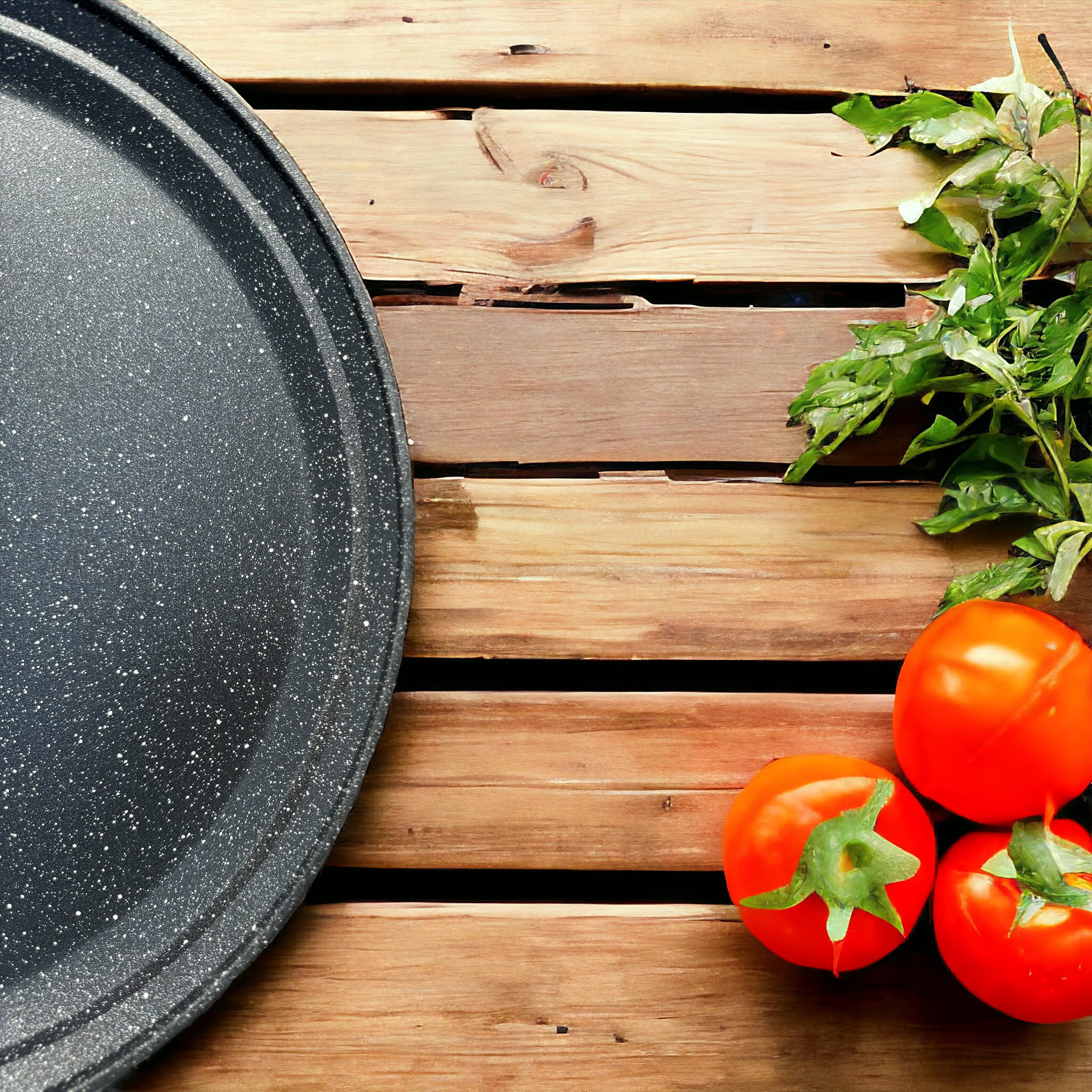 TESTO ROMAGNOLO © - PIASTRA ANTIADERENTE & ANTIGRAFFIO