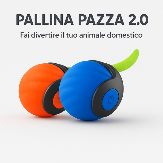 CRAZY BALL  2.0 © - PALLINA PAZZA